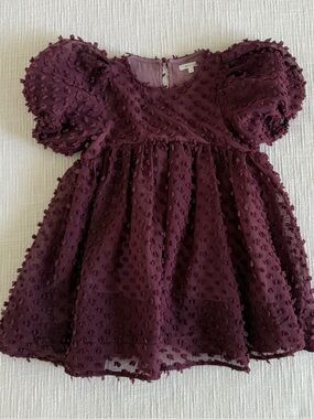 Toddler Plum Textured Puff-Sleeve Party Dress